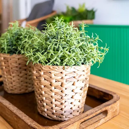 T2 Dina's Place * 나자레