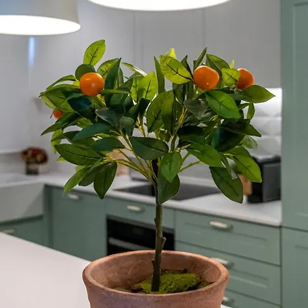 T2 Dina's Place 아파트 *