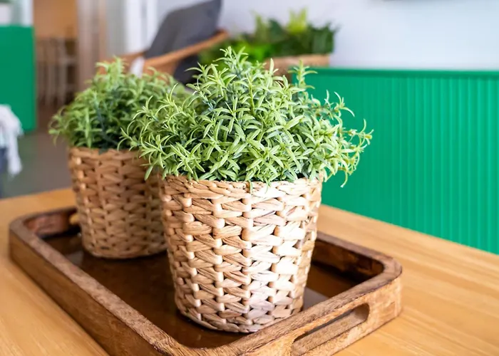 T2 Dina's Place * Назаре