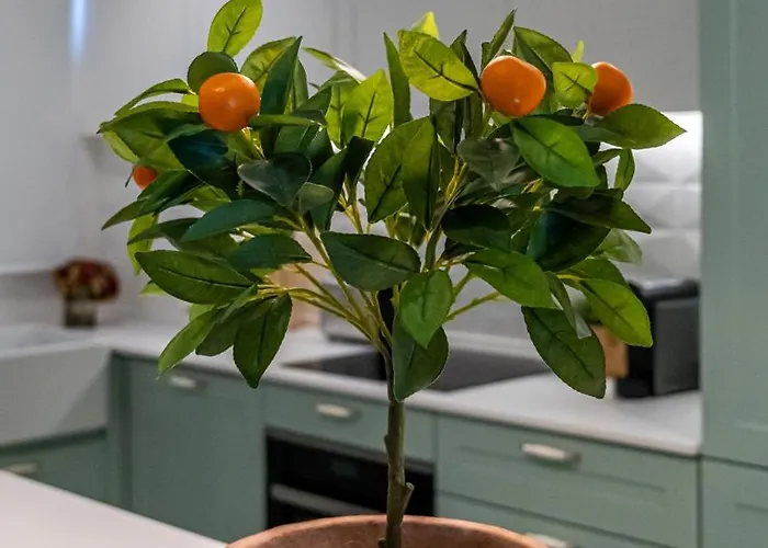 T2 Dina's Place Апартаменты *