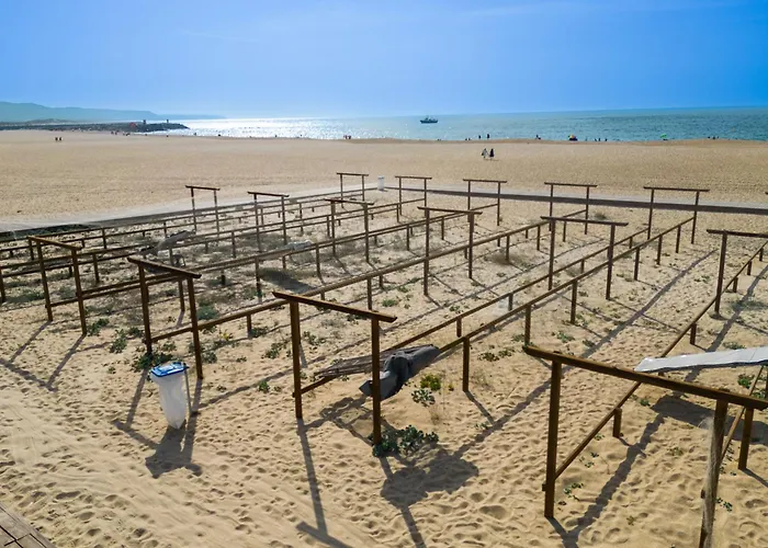 T2 Dina's Place Апартаменты